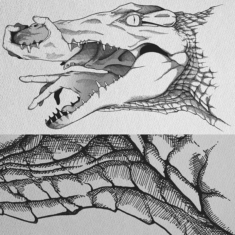 Illustration