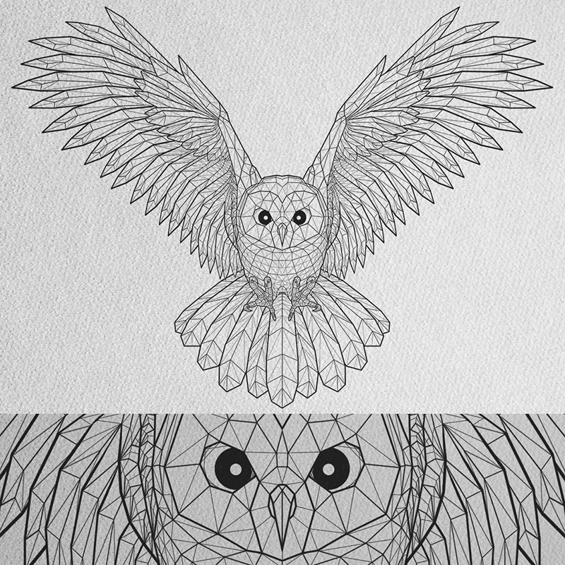 Illustration